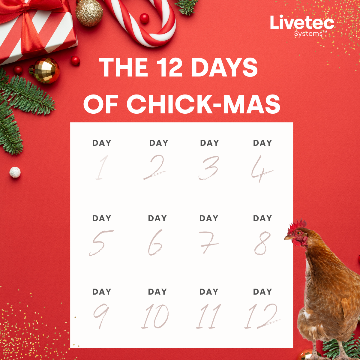 12 Days of Chick-mas - Graphics (8)