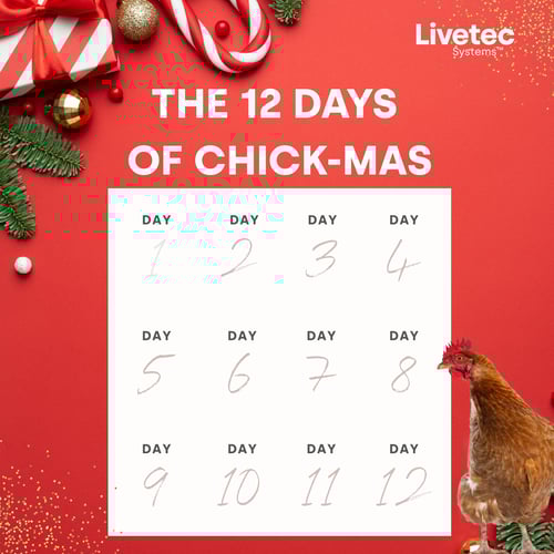 12 Days of Chick-mas - Graphics (8)