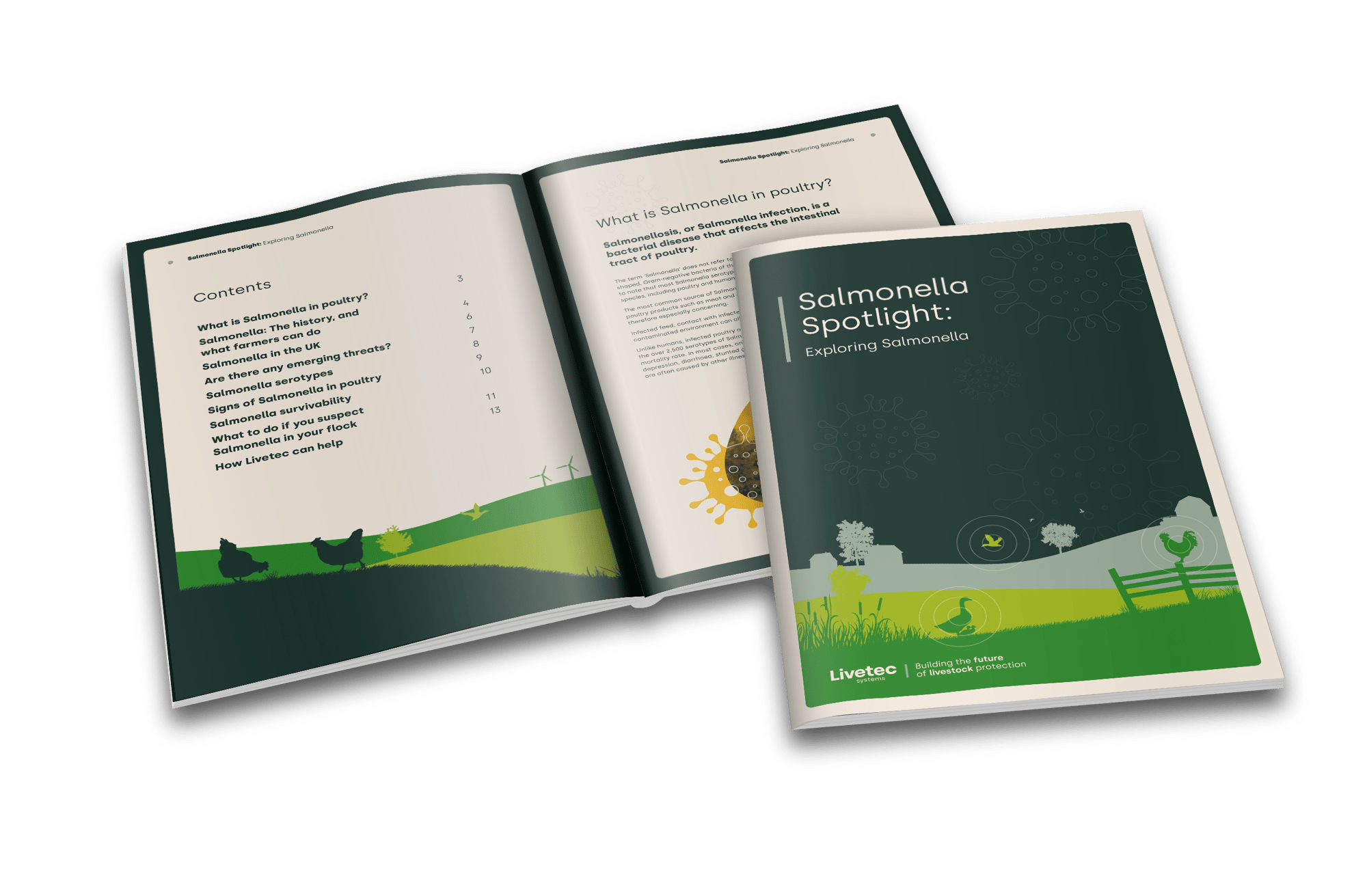 3119_Livetec_Salmonella_Spotlight_v12