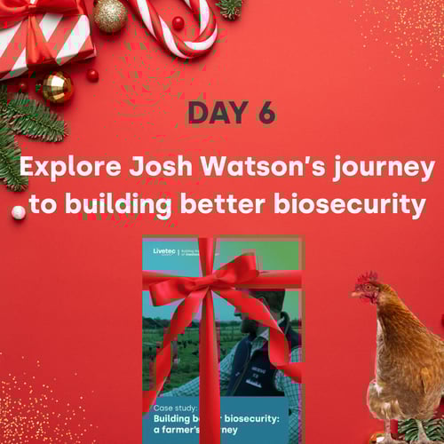 Day 6 - Josh Watson