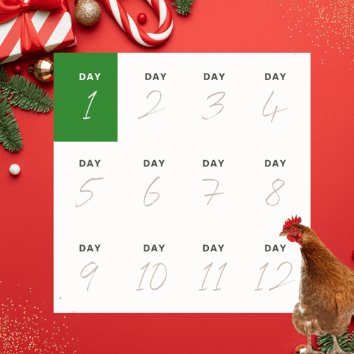 For Landing Page - 12 days of XMAS (1)