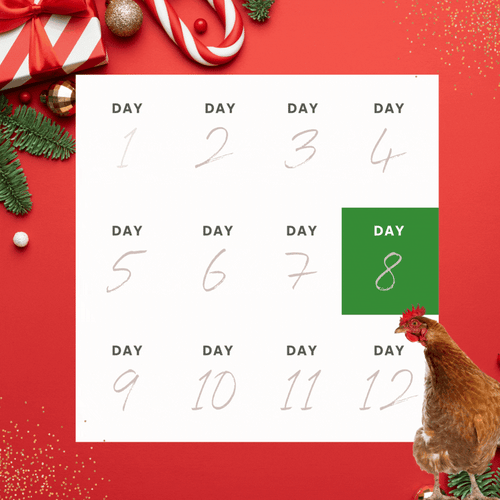 For Landing Page - 12 days of XMAS (14)