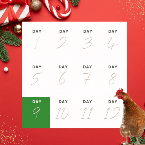 For Landing Page - 12 days of XMAS (15)