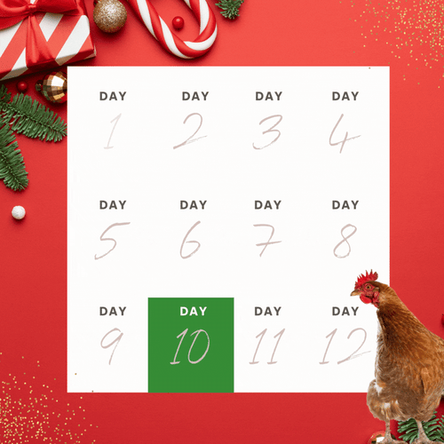 For Landing Page - 12 days of XMAS (16)