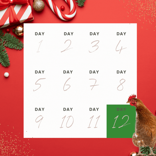 For Landing Page - 12 days of XMAS (18)