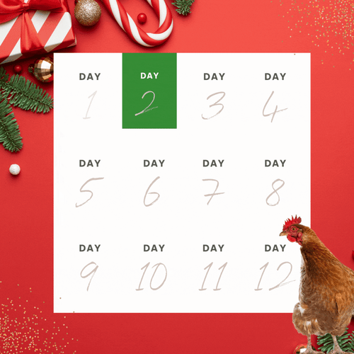 For Landing Page - 12 days of XMAS (2)