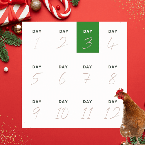 For Landing Page - 12 days of XMAS (3)