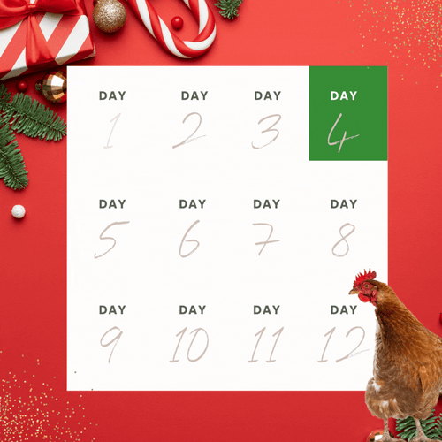 For Landing Page - 12 days of XMAS (6)