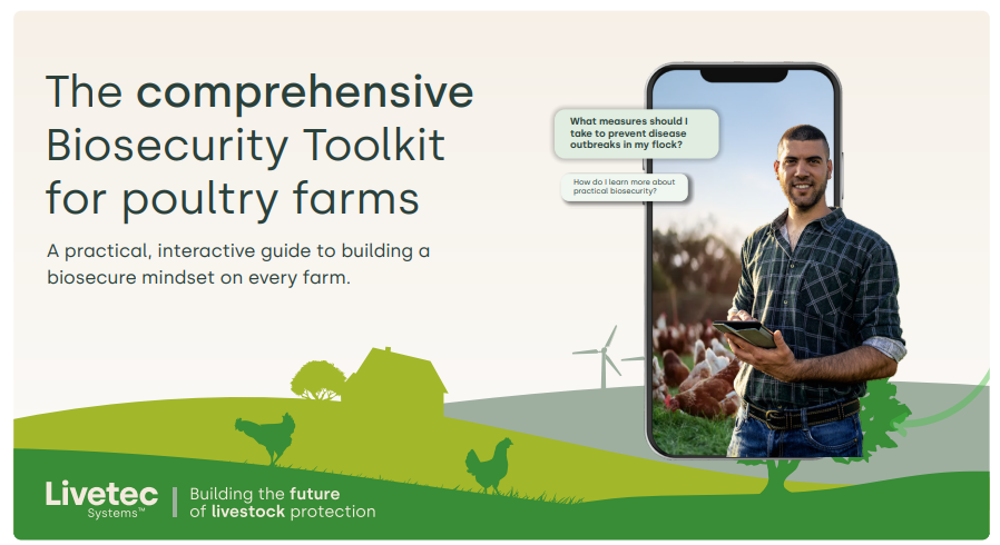 Screenshot 2026-02-19 122302